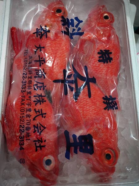 鮨 水仙sushi-suisen omakase｜信義安和站｜無菜單料理｜日本料理｜壽司 - hero 4