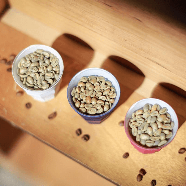 有kaffe冇/台北手沖咖啡 台北咖啡豆 大安區咖啡廳 大安區咖啡豆 忠孝復興咖啡廳 忠孝復興咖啡豆 - hero 5