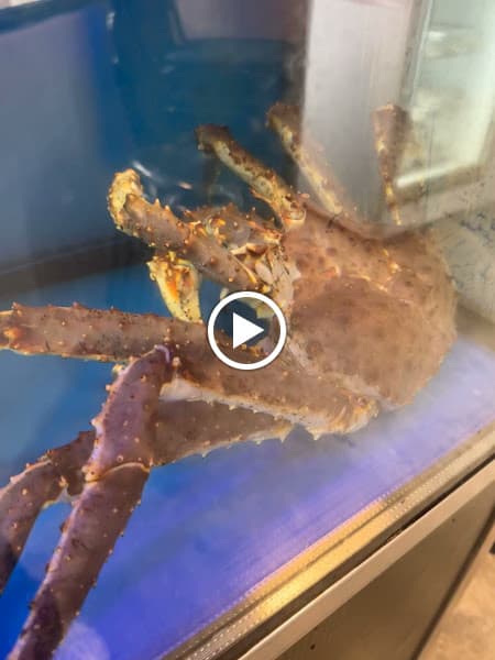 李歡喜特色雞火鍋 HAPPY LEE CHICKEN HOTPOT 港式麻辣雞 無花果椰子雞 象拔蚌 寵物友善 包廂 - hero 3